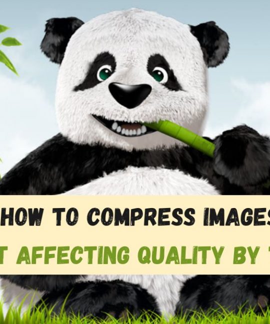 How to Compress Images Without Affecting Quality by TinyJPG?